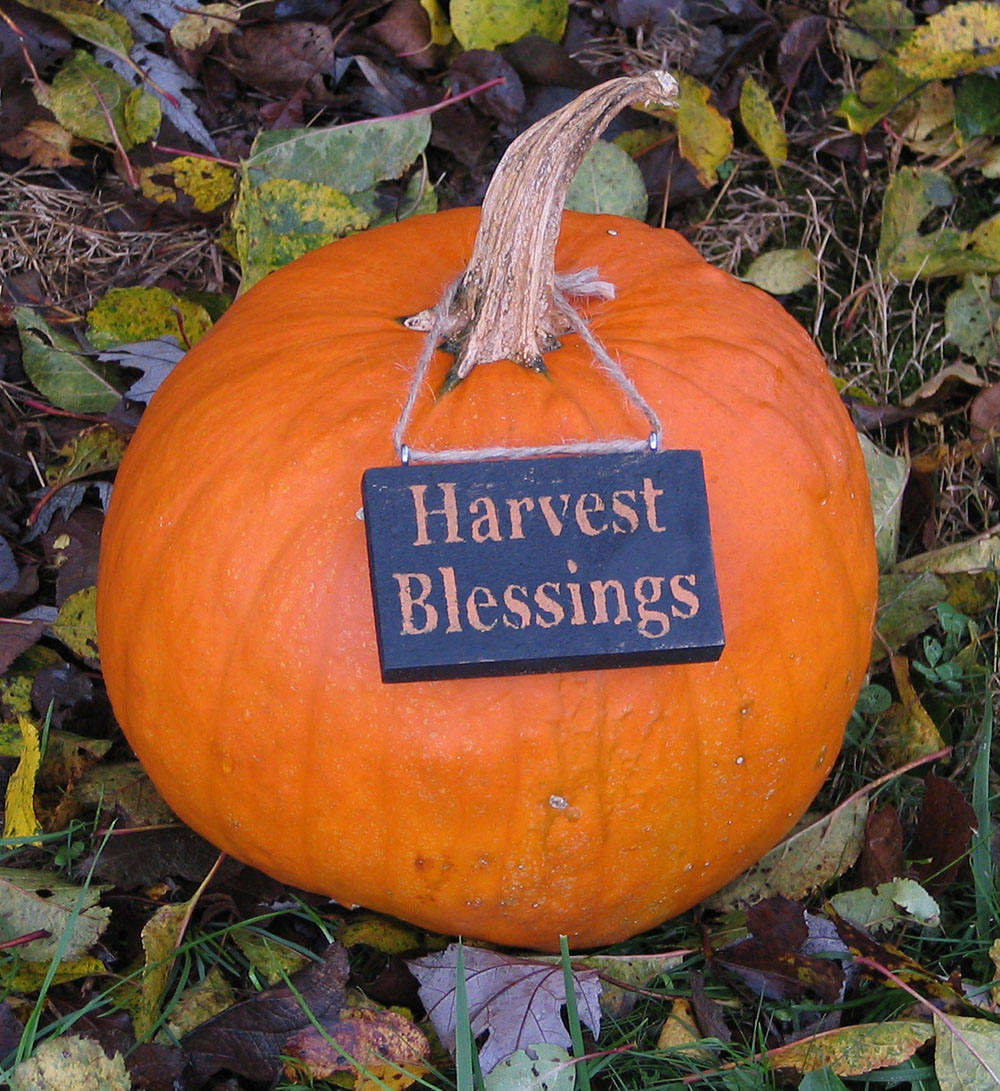 Harvest Blessings Wooden Ornament, Distressed Ornament, Fall Ornament, Pumpkin Charm, Wine Bottle Charm, Fall Decoration, Thanksgiving Decor