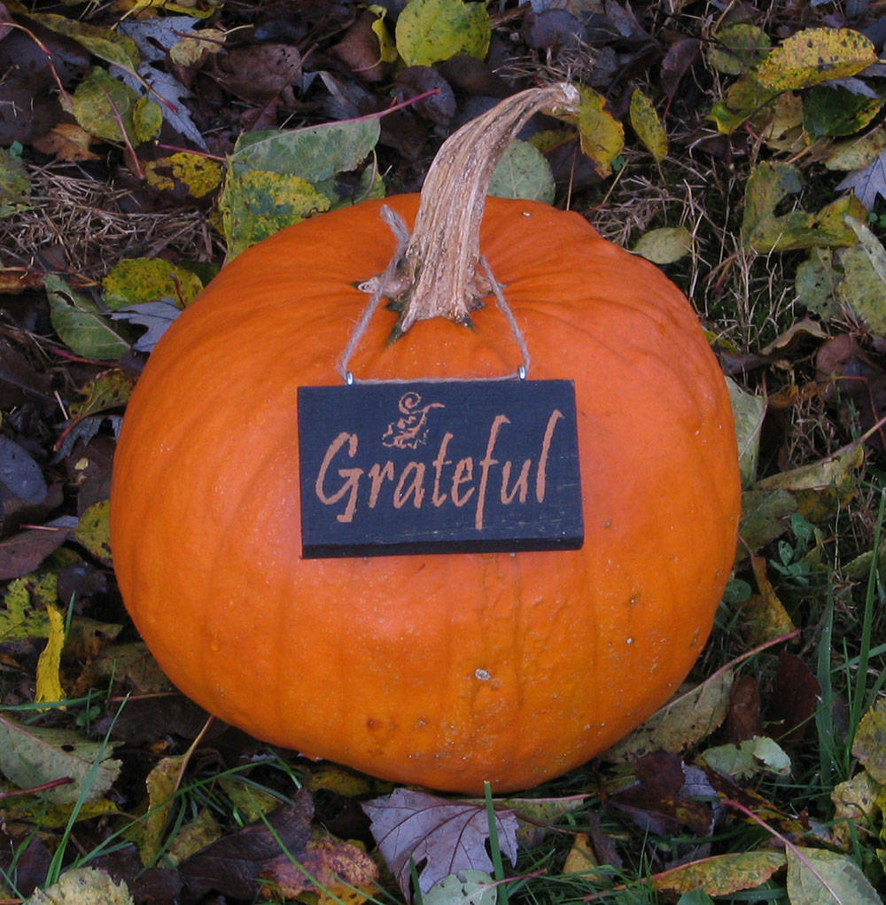 Grateful Wooden Ornament, Distressed Ornament, Fall Ornament, Pumpkin Charm, Wine Bottle Charm, Fall Decoration, Thanksgiving Decor